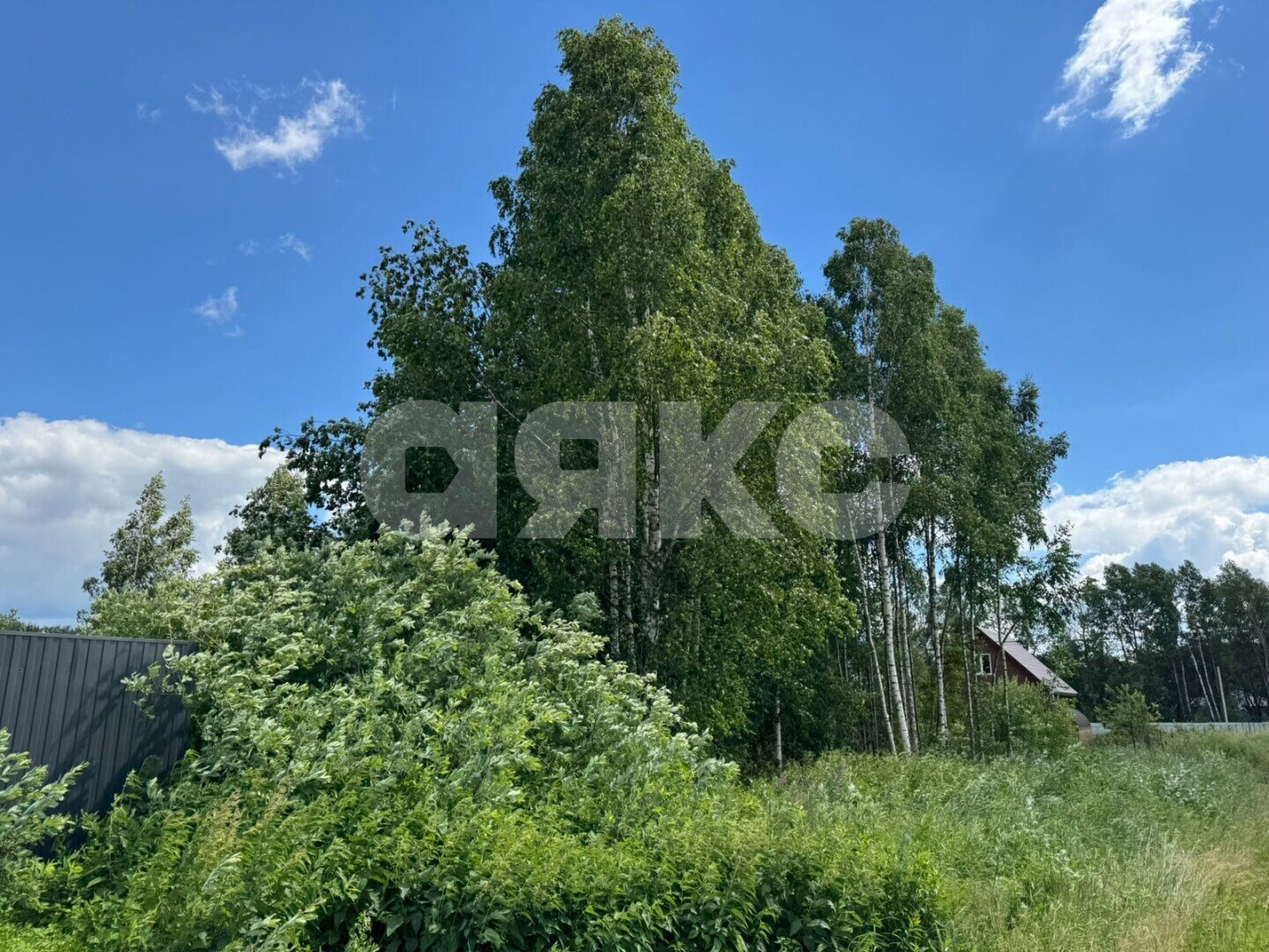 Фото №13: Участок садоводство 6.3&nbsp;сот. - ТСН Никульское, ул. Поперечная