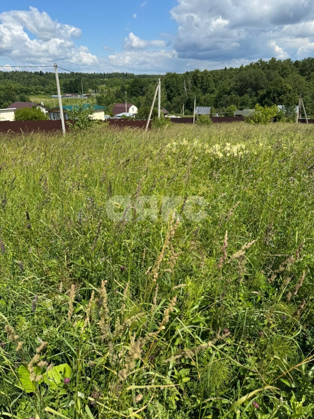 Фото №4: Участок садоводство 6.11&nbsp;сот. - ТСН ДЗУ Родник, 135