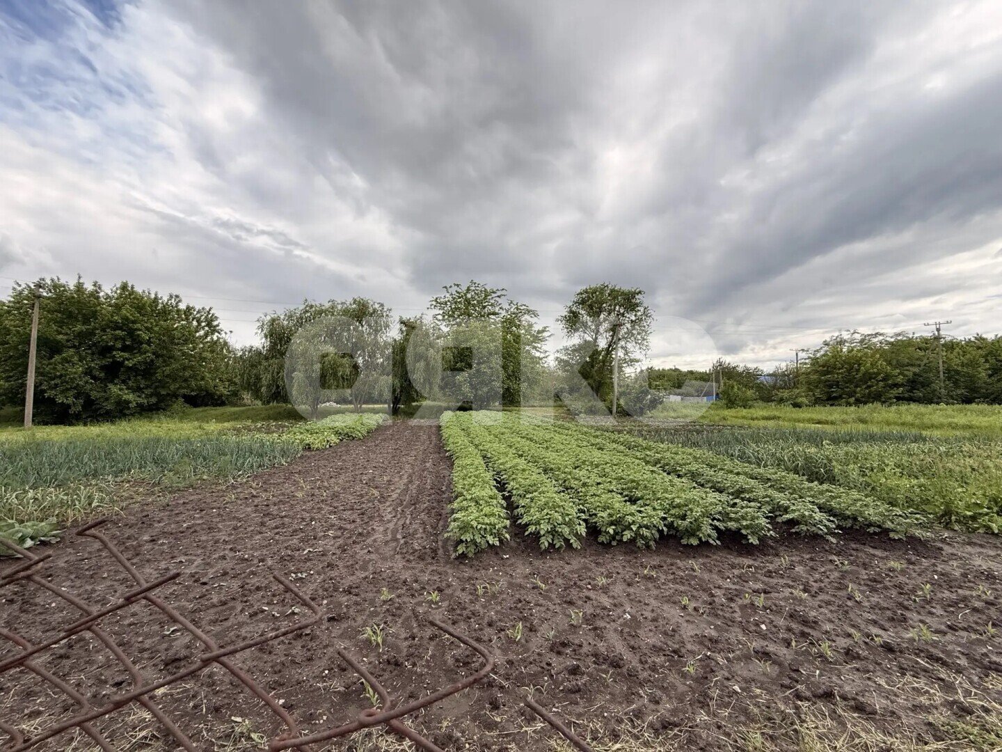 Фото №15: Дом 62&nbsp;м² + 9.17&nbsp;сот., 1&nbsp;эт. - Бураковский, ул. Горького, 69
