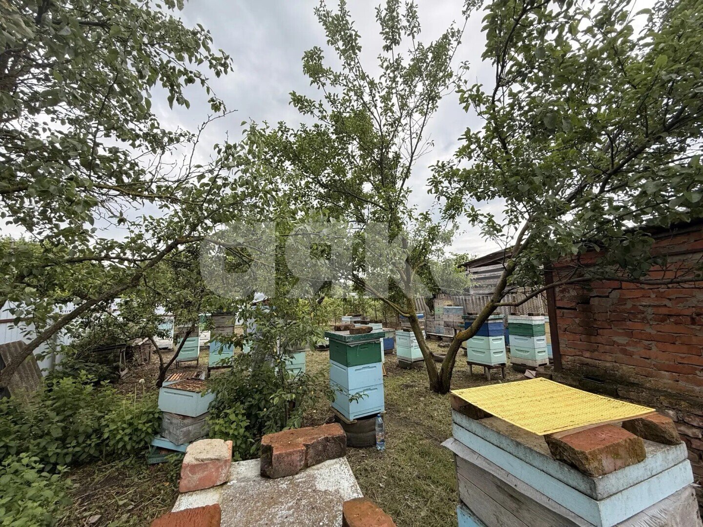 Фото №10: Дом 62&nbsp;м² + 9.17&nbsp;сот., 1&nbsp;эт. - Бураковский, ул. Горького, 69