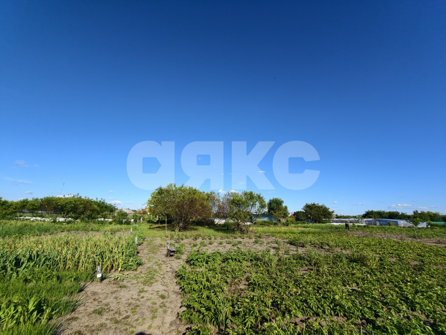 Фото №35: Дом 30&nbsp;м² + 13.89&nbsp;сот., 1&nbsp;эт. - Кореновск, мкр. 1-й квартал, ул. Западная