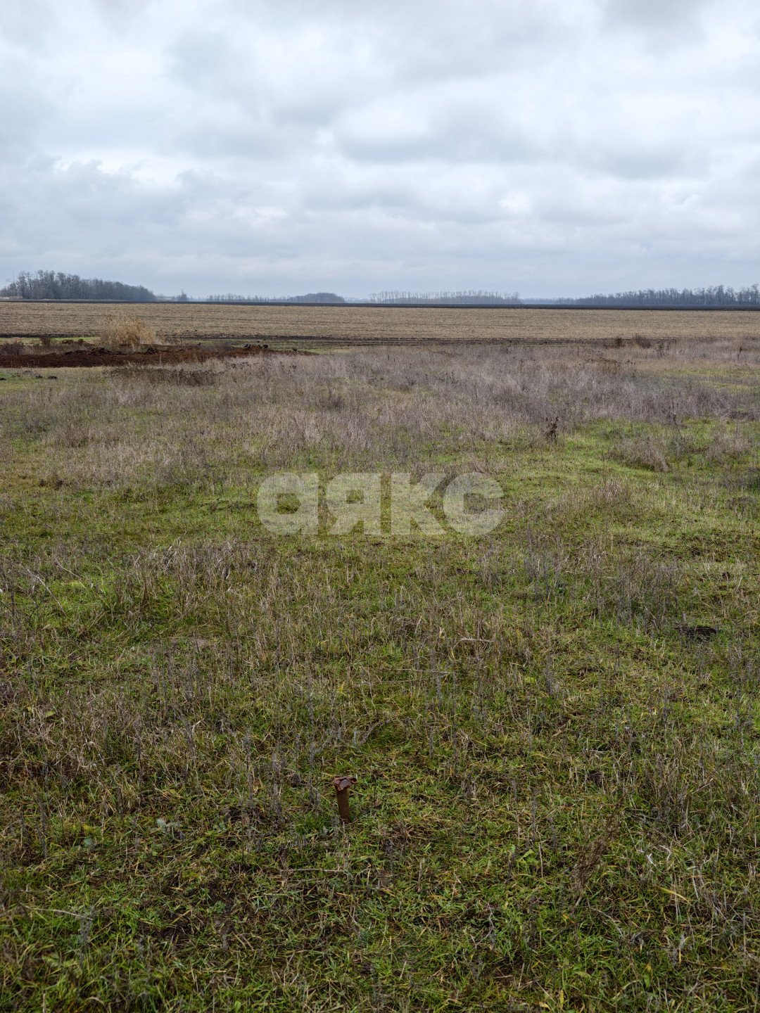 Фото №8: Земельный участок под ИЖС 11.56&nbsp;сот. - Платнировская, ул. Северная