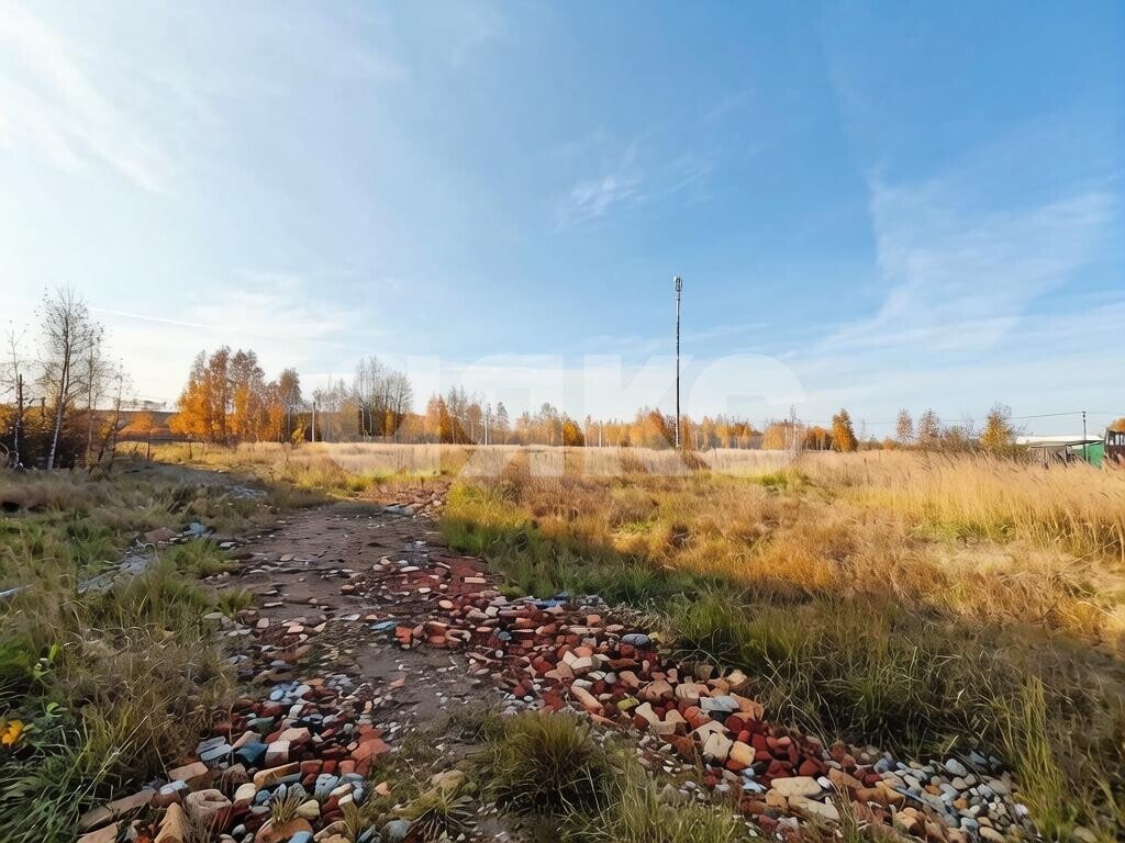 Фото №5: Личное подсобное хозяйство 10&nbsp;сот. - Кулаково