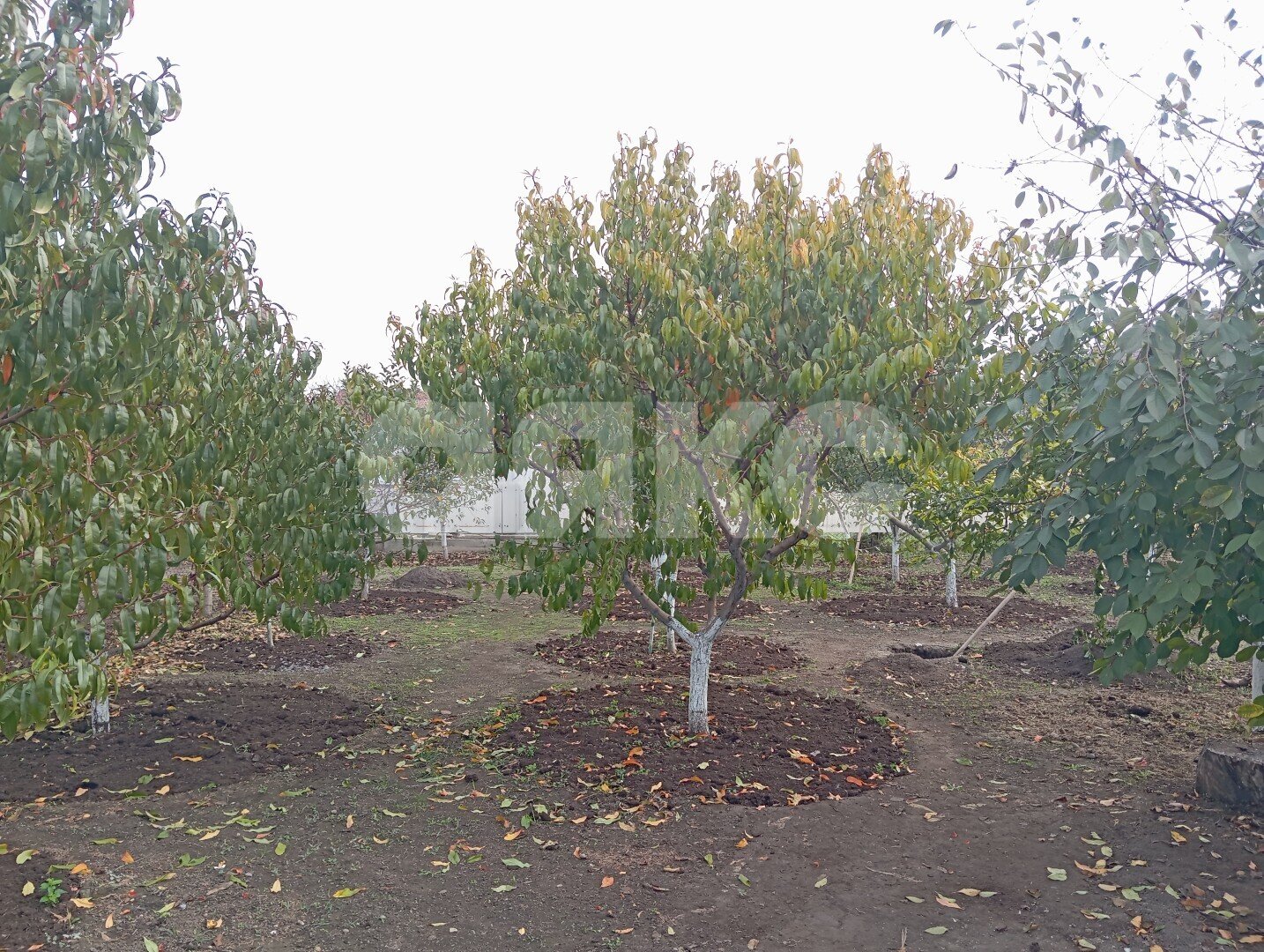 Фото №12: Дом 140&nbsp;м² + 11&nbsp;сот., 1&nbsp;эт. - Усатова Балка, ул. Горького, 2