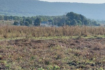 Фото №5: Участок садоводство - Краснодарский край муниципальное образование Новороссийск