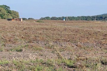 Фото №2: Участок садоводство - Краснодарский край муниципальное образование Новороссийск