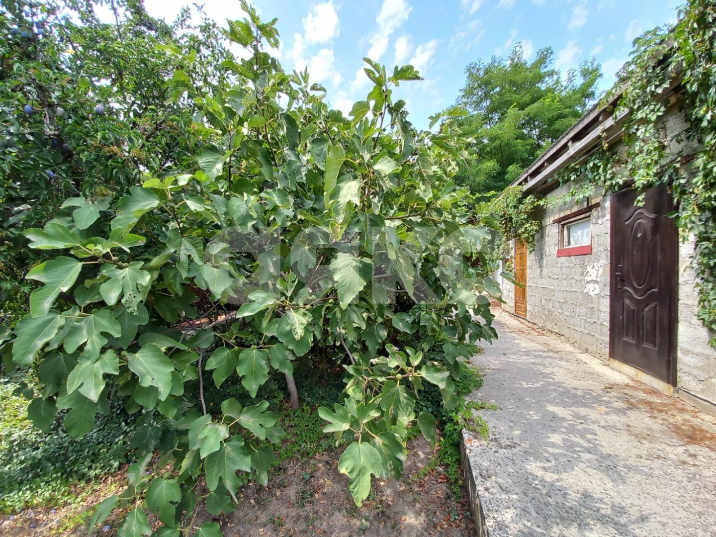 Фото №24: Дом 82&nbsp;м² + 7&nbsp;сот., 1&nbsp;эт. - Пятихатки, ул. Джеметинская, 80