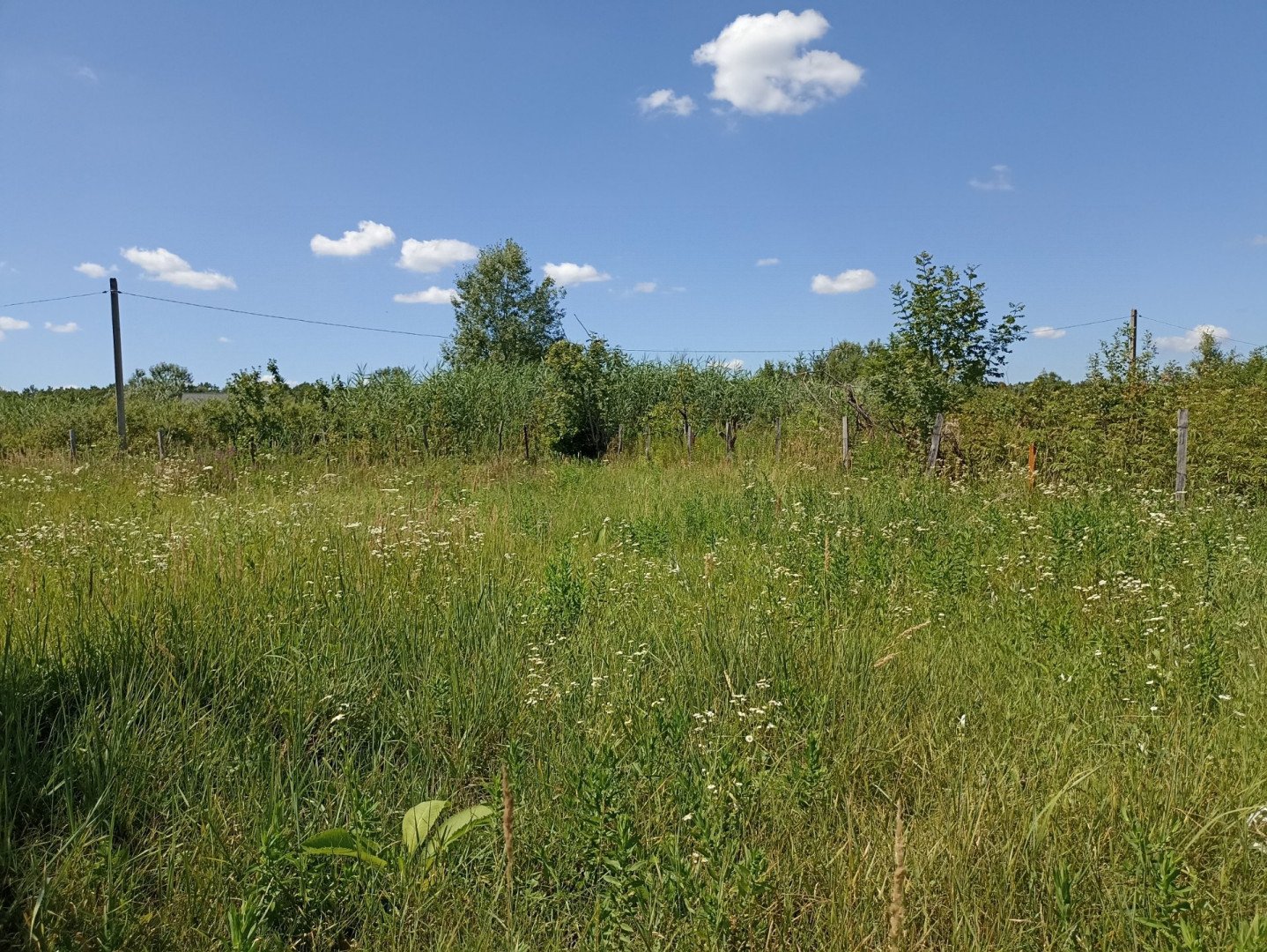 Фото №4: Участок садоводство 6 сот. - Мебельщик, 