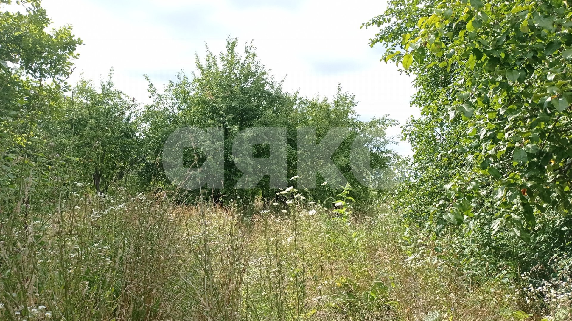 Фото №3: Коммерческая земля 5&nbsp;сот. - Краснодарский край городской округ Горячий Ключ