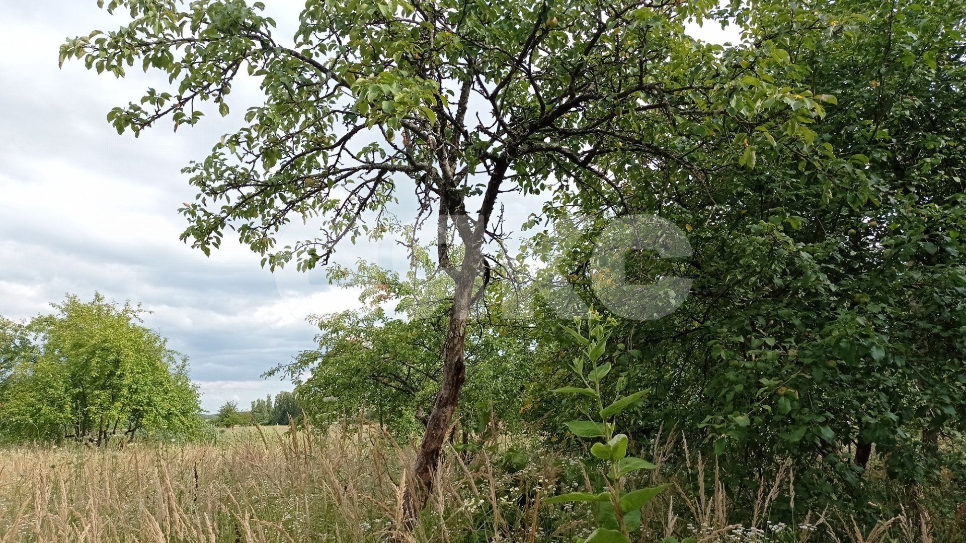Фото №2: Коммерческая земля 5&nbsp;сот. - Краснодарский край городской округ Горячий Ключ