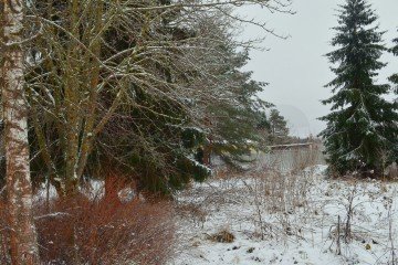 Фото №5: Личное подсобное хозяйство - Рай, 