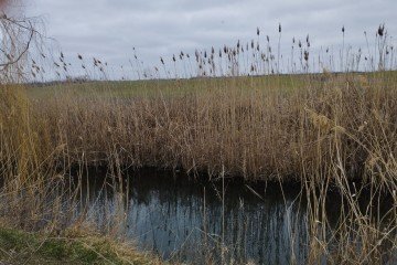 Фото №3: Земельный участок под ИЖС - Мариуполь, р. Центральный, ул. Греческая площадь