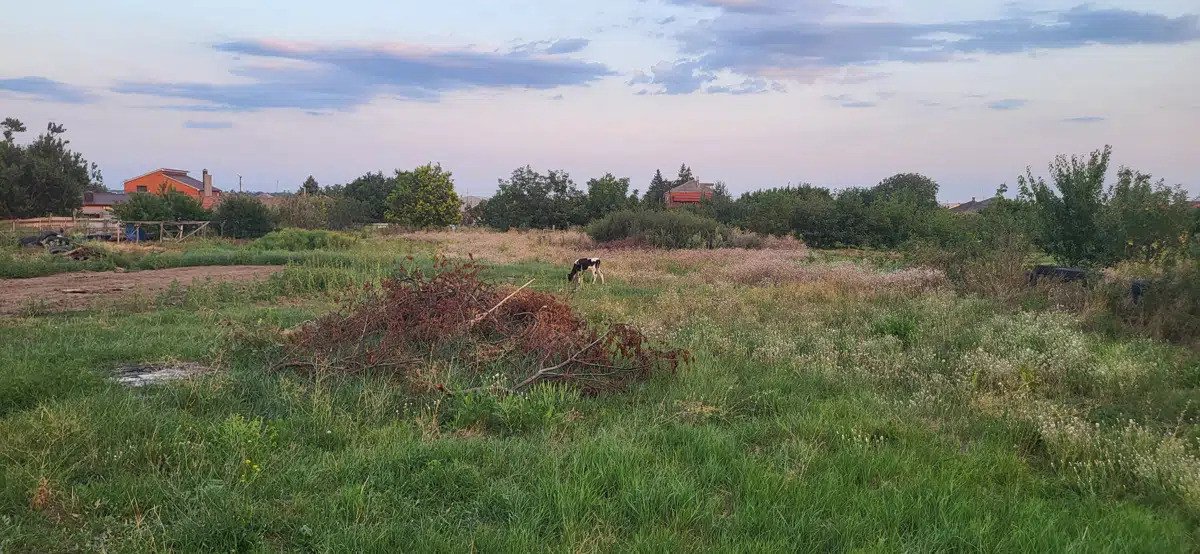 Фото №4: Личное подсобное хозяйство 23 сот. - Крым, ул. Шаумяна