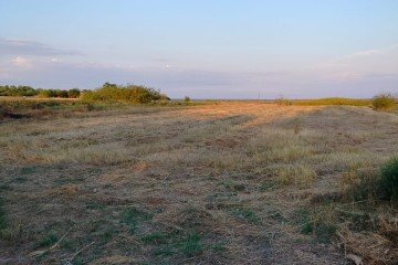 Фото №5: Личное подсобное хозяйство - Береговой, ул. Пушкина, 15