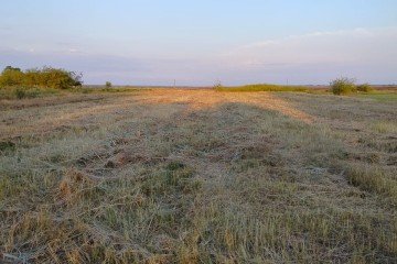 Фото №1: Личное подсобное хозяйство - Береговой, ул. Пушкина, 15