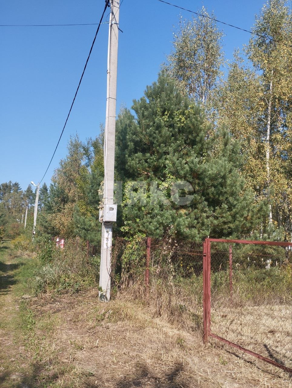 Фото №4: Участок садоводство 12 сот. - СНТ Мечта, 128Б