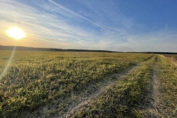 Фото №5: Дачное некоммерческое партнерство - Московская область Раменский городской округ