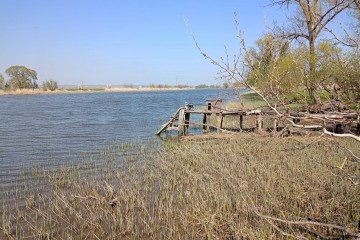 Фото №2: Личное подсобное хозяйство - Полушкин, пер. Бугровой, 15