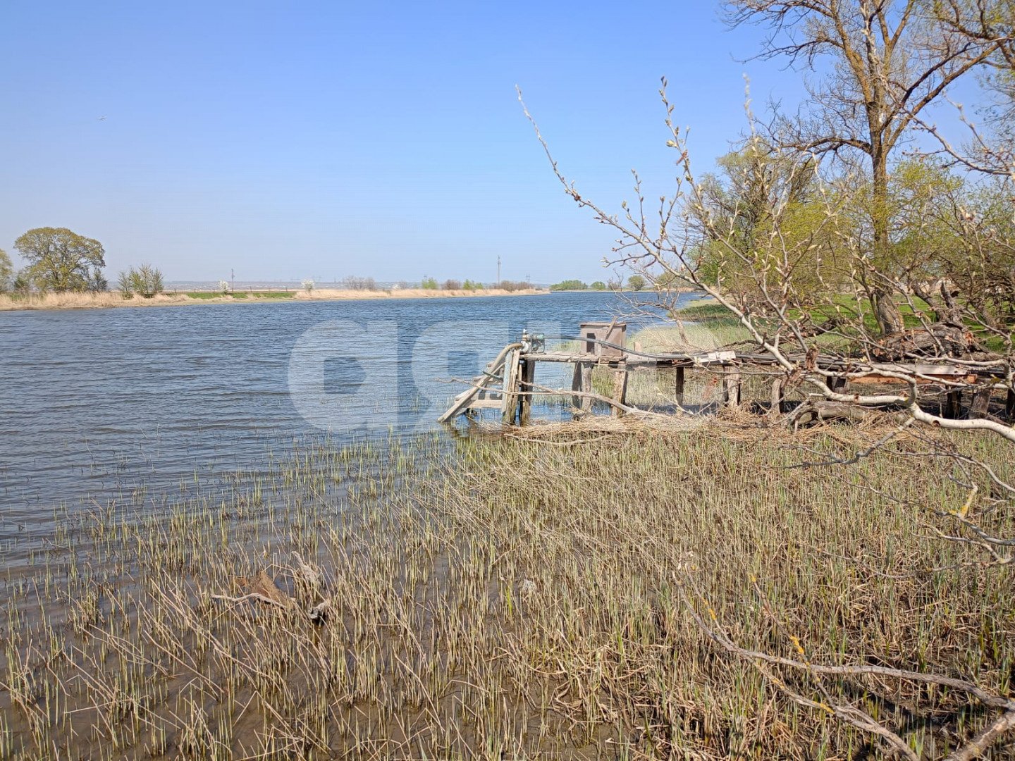 Фото №2: Личное подсобное хозяйство 30 сот. - Полушкин, пер. Бугровой, 15