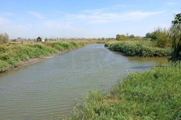 Фото №3: Личное подсобное хозяйство - Рогожкино, ул. Степная