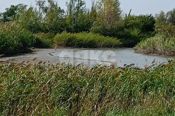 Фото №4: Личное подсобное хозяйство - Рогожкино, ул. Степная