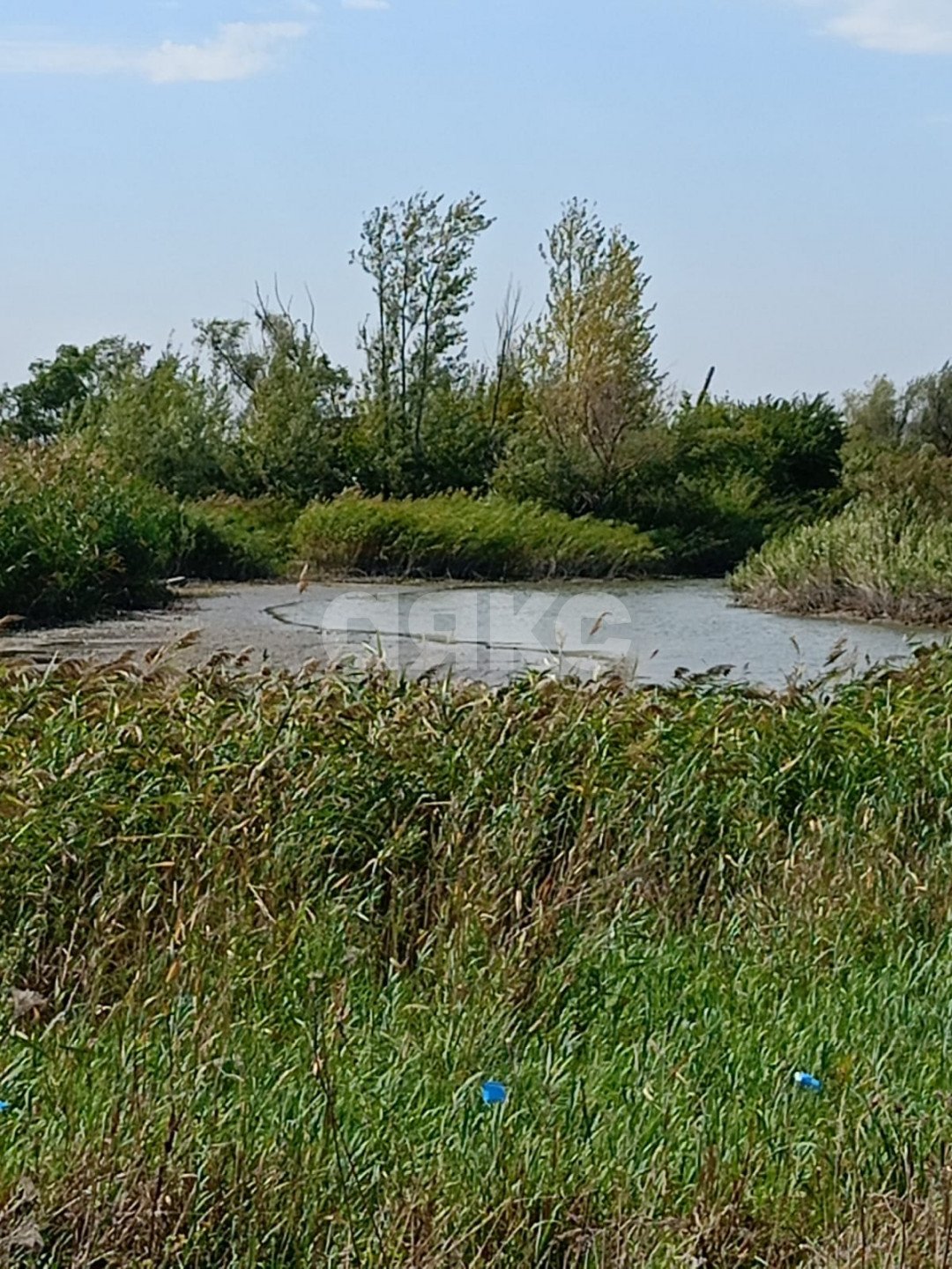 Фото №4: Личное подсобное хозяйство 15 сот. - Рогожкино, ул. Степная