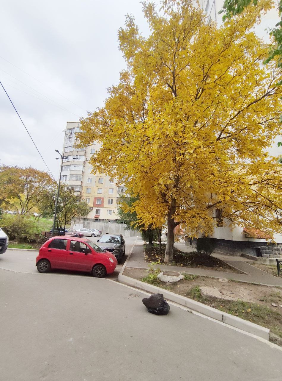 Фото №17: 1-комнатная квартира 32 м² - Симферополь, Загородный, ул. Ковыльная, 42