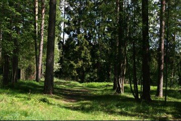 Фото №3: Дачное некоммерческое партнерство - Московская область Раменский городской округ