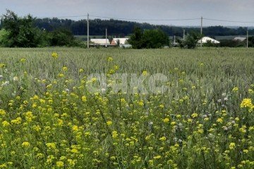 Фото №2: Земельный участок под ИЖС - Островского, ул. Конечная, 19