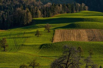 Фото №3: Коммерческая земля - Белое, ул. Комсомольская, 35