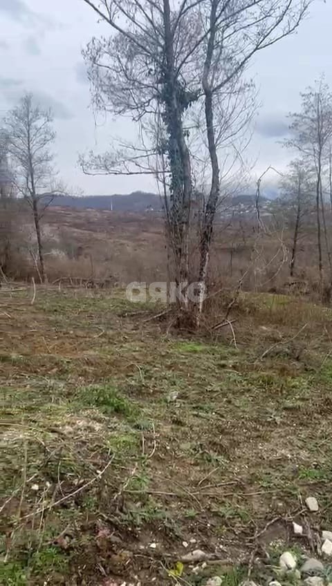 Фото №2: Личное подсобное хозяйство 8 сот. - Краснодарский край городской округ Сочи