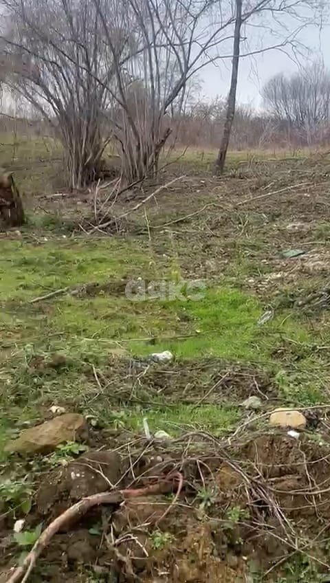 Фото №4: Личное подсобное хозяйство 8 сот. - Краснодарский край городской округ Сочи