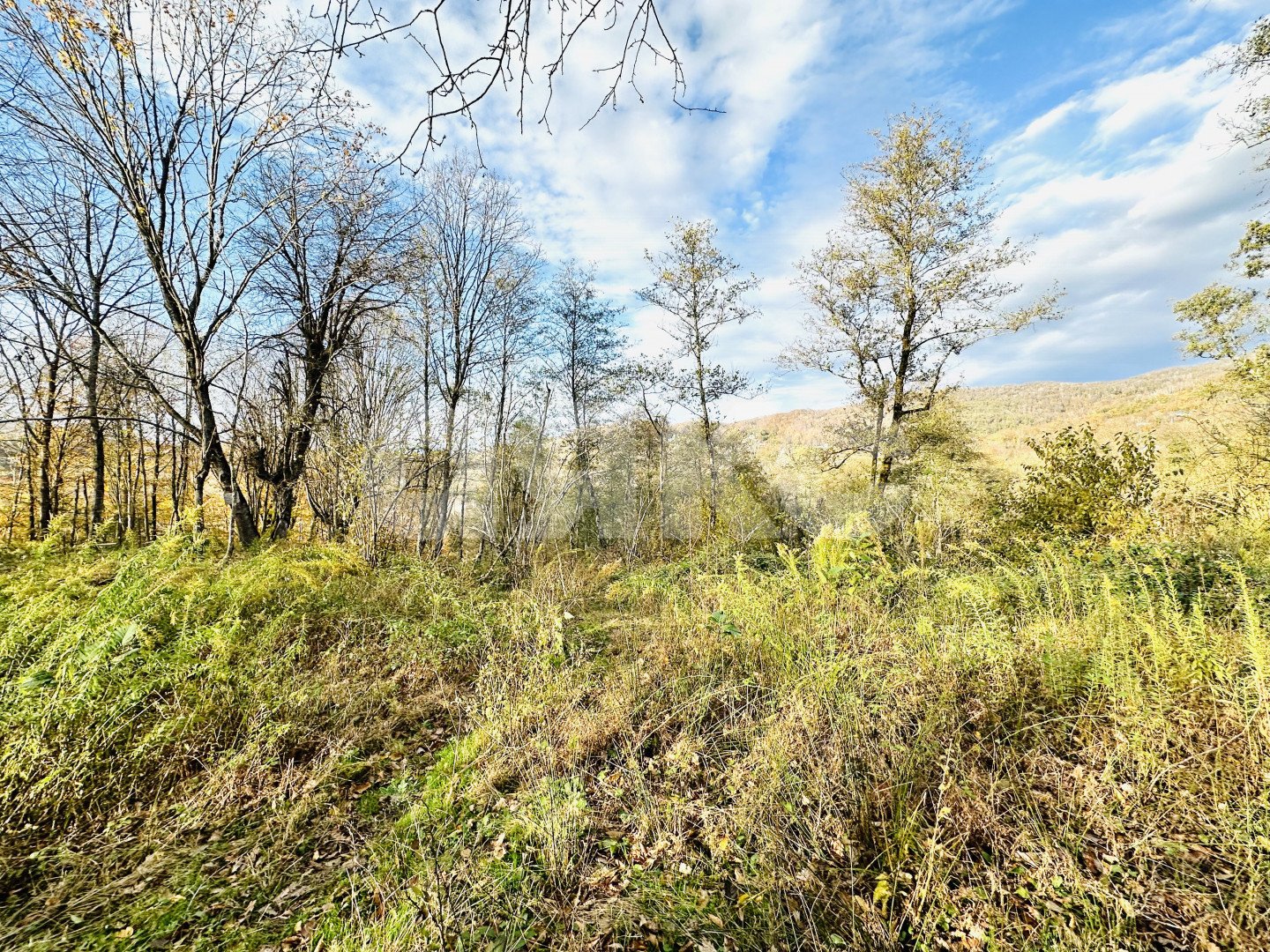 Фото №4: Участок садоводство 5.8 сот. - Вардане-Верино, Энергетик, 