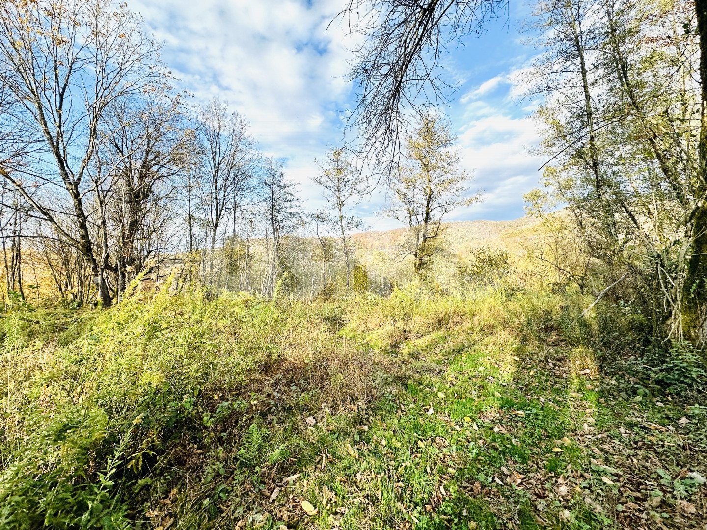 Фото №2: Участок садоводство 5.8 сот. - Вардане-Верино, Энергетик, 