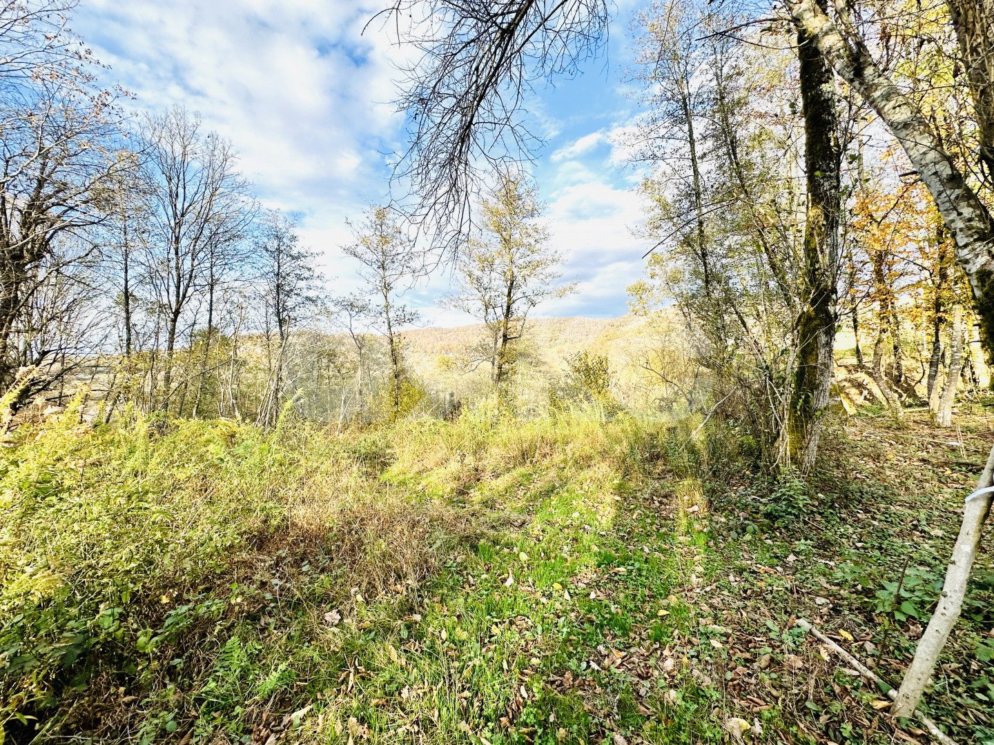 Фото №3: Участок садоводство 5.8 сот. - Вардане-Верино, Энергетик, 