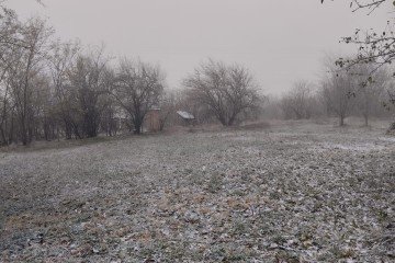 Фото №3: Личное подсобное хозяйство - Фортштадт, ул. Клубная, 1