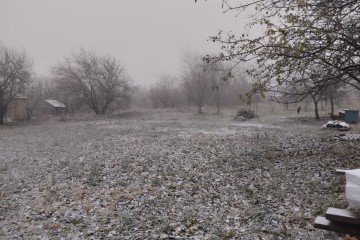 Фото №1: Личное подсобное хозяйство - Фортштадт, ул. Клубная, 1