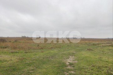 Фото №4: Личное подсобное хозяйство - Старотитаровская, 