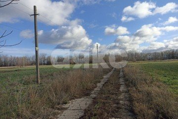 Фото №5: Личное подсобное хозяйство - Старотитаровская, ул. Победы