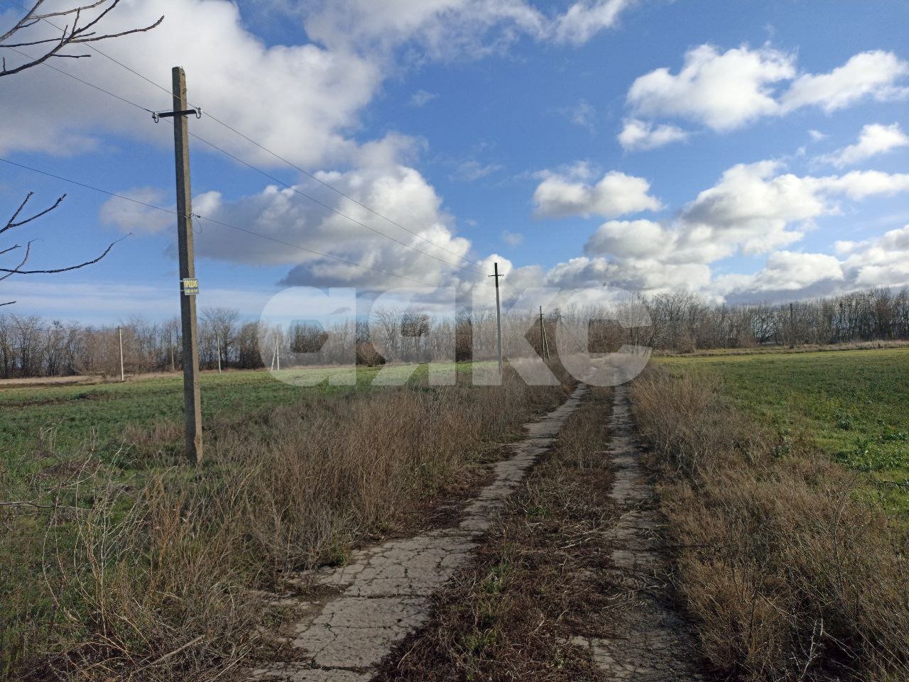 Фото №5: Личное подсобное хозяйство 5 сот. - Старотитаровская, ул. Победы