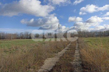 Фото №5: Личное подсобное хозяйство - Старотитаровская, ул. Мира, 48