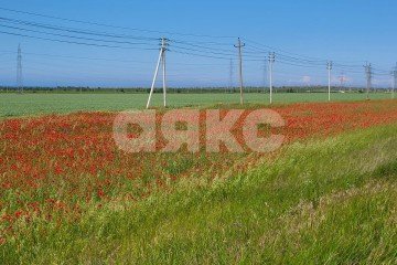 Фото №4: Коммерческая земля - Волна, ул. Садовая, 27