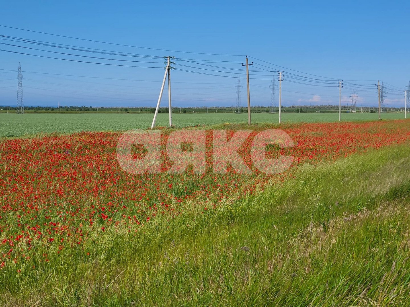 Фото №4: Коммерческая земля 187 сот. - Волна, ул. Садовая, 27