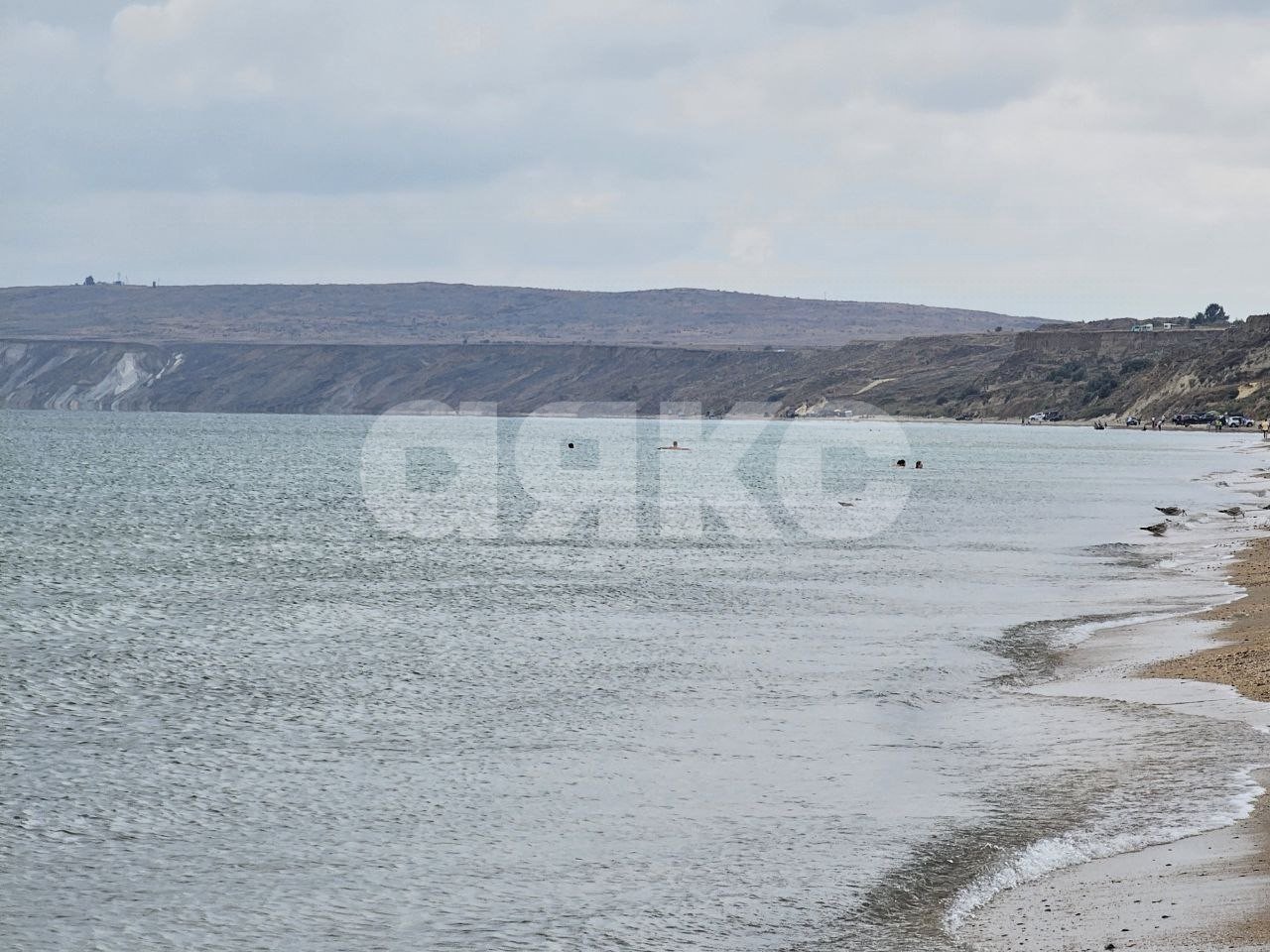 Фото №24: Земельный участок под ИЖС 187 сот. - Веселовка, ул. Гвардейская