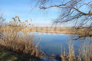 Фото №2: Личное подсобное хозяйство - Курчанская, ул. Набережная