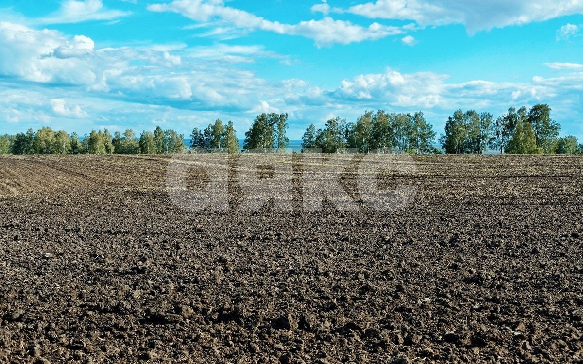 Фото №1: Участок садоводство 5 сот. - Армавир, 1-е Отделение, ул. Центральная