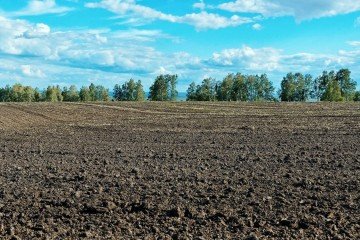 Фото №3: Земельный участок под ИЖС - Ковалевское, ул. Октябрьская, 31