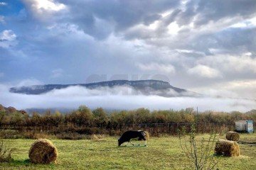 Фото №5: Участок садоводство 14 сот. - Даховская, ул. Нагорная