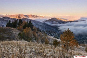 Фото №3: Участок садоводство 14 сот. - Даховская, ул. Нагорная