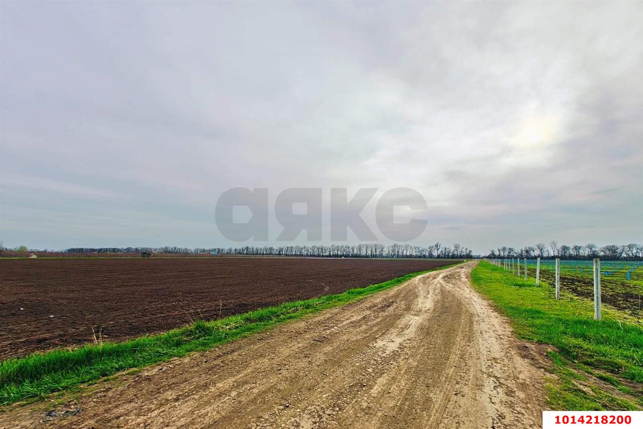 Фото №5: Коммерческая земля 196&nbsp;сот. - Старокорсунская, мкр. Карасунский внутригородской округ, ул. Придорожная, 1А